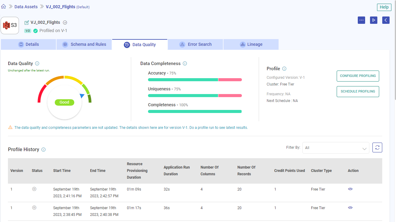 DatasetProfiling