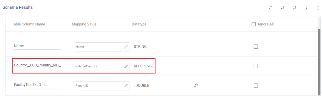 Salesforce_Target_Schema_Mapping