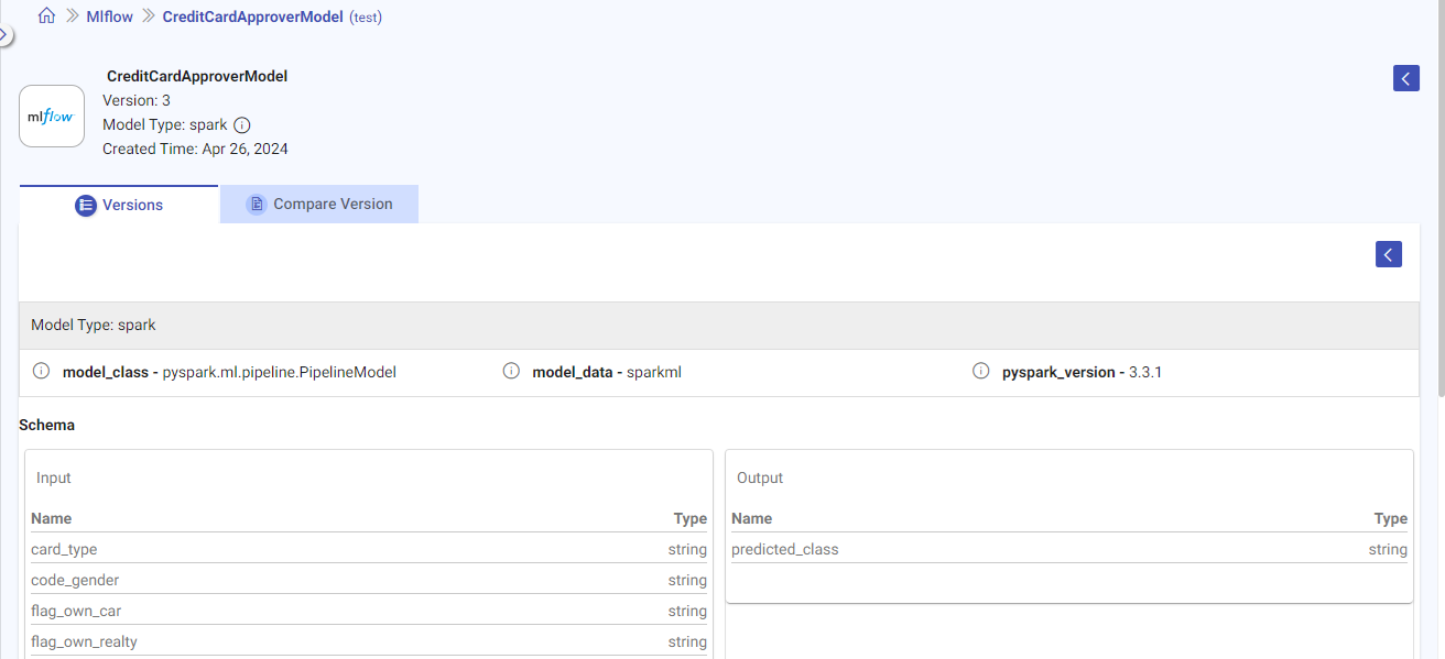 MLflow View Version Details